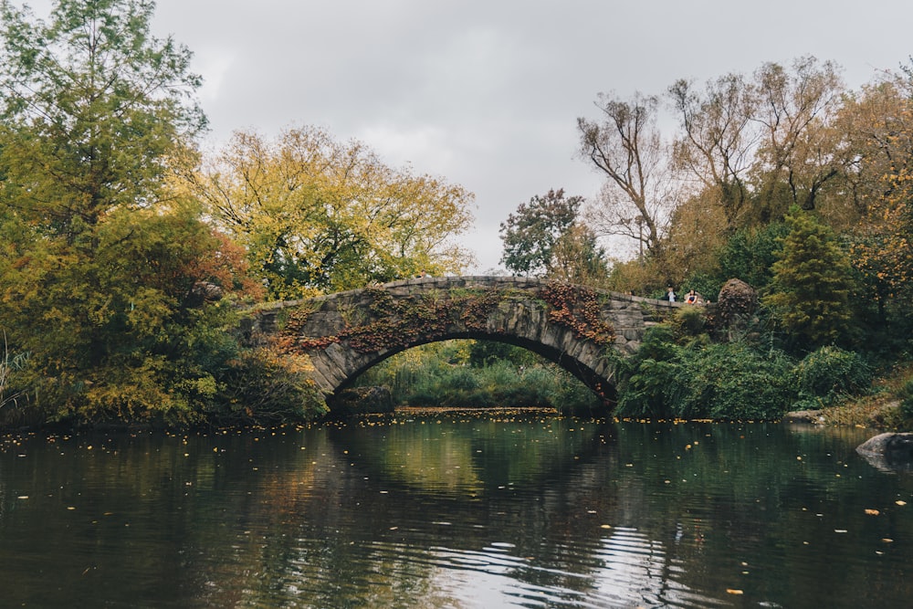 bridge under body of water