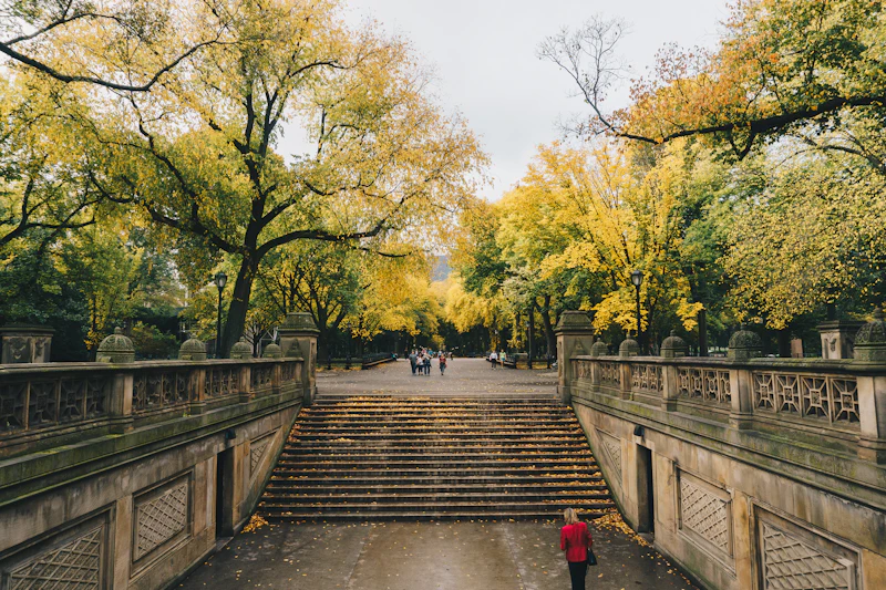A leafy stone staircase inside Central Park