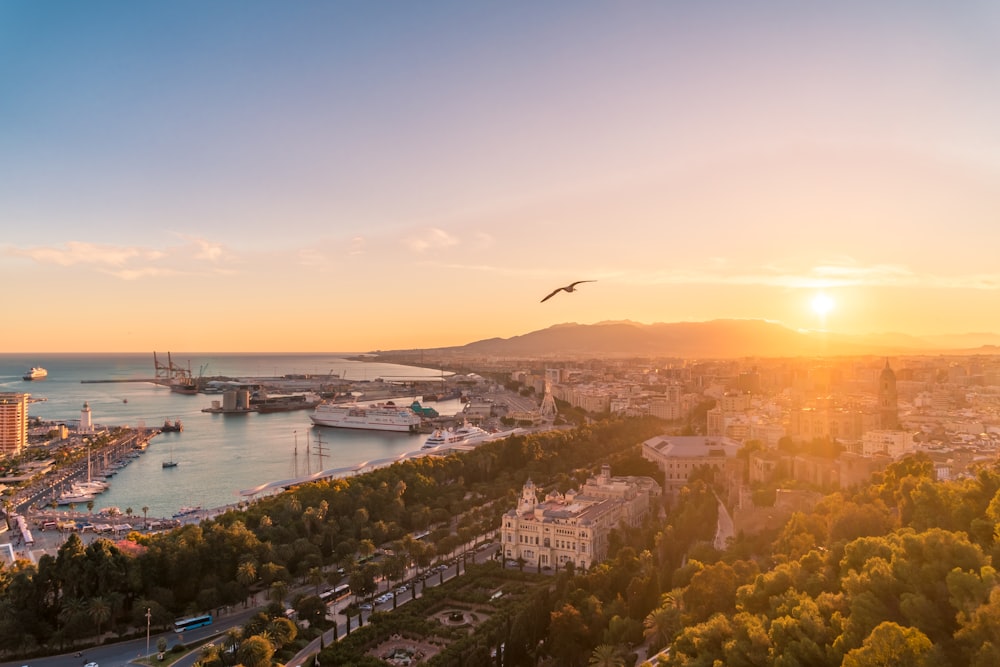 top view photography of city during daytime