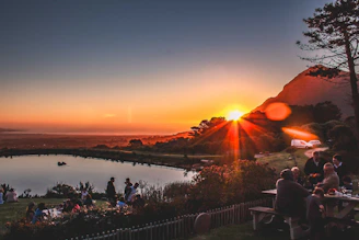 Guests enjoying an outdoor picnic surrounded by wildflowers and distant mountains at sunset.