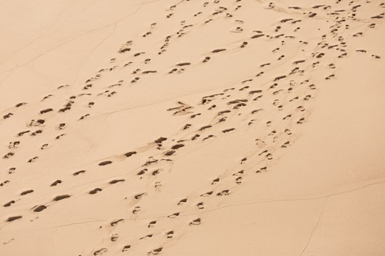 footprints on brown dessert in Albufeira Portugal