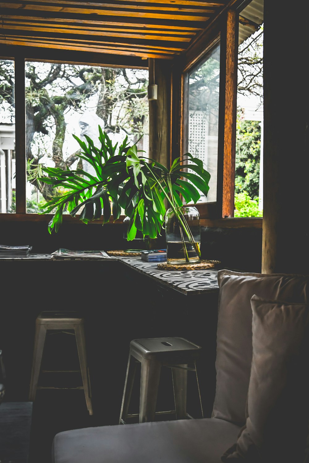 green leafed plant in jar in front of window