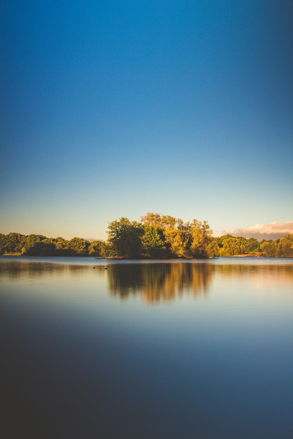 Foto di specchio d'acqua calmo circondato da alberi