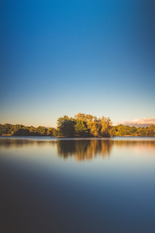 photo of calm body of water surrounded by trees in Haysden Country Park United Kingdom