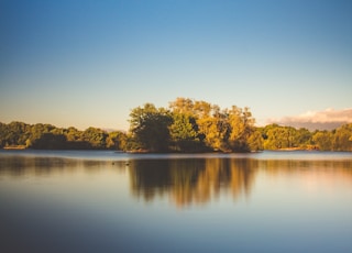 photo of calm body of water surrounded by trees