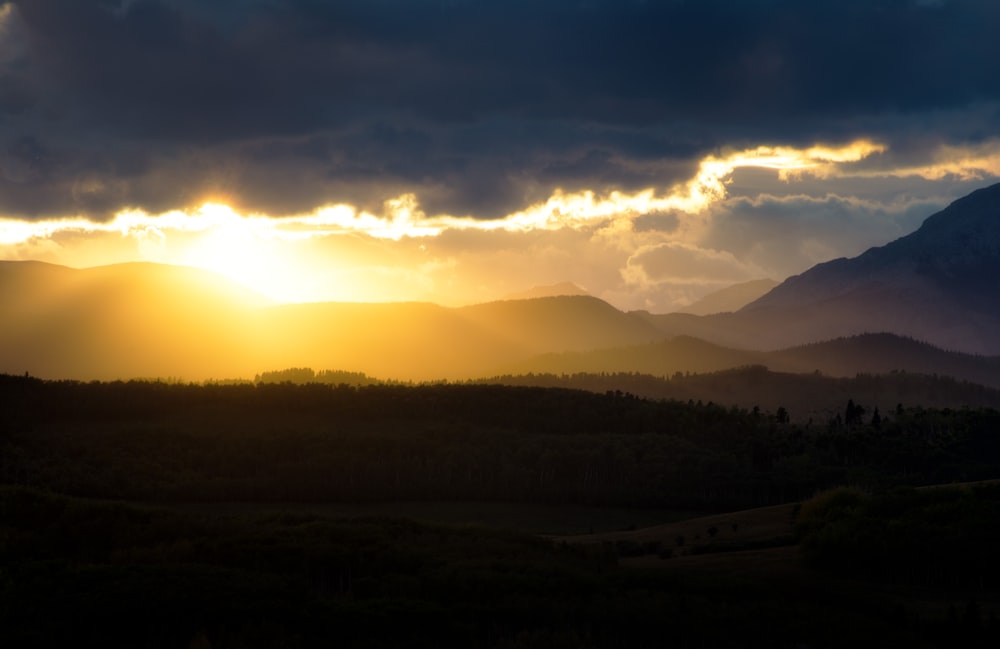 silhouette of trees during sunset