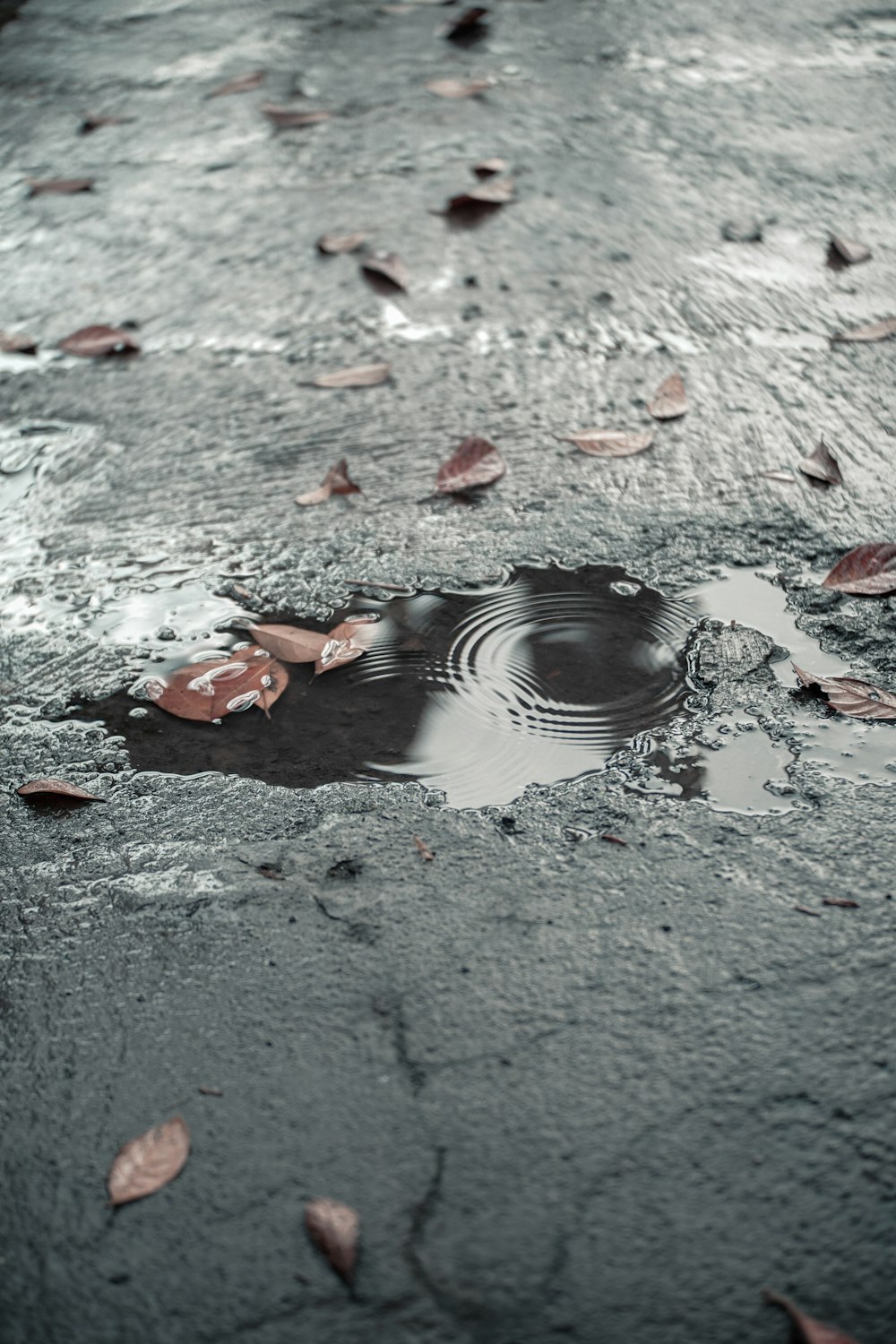 cápsula de agua tomada durante el día