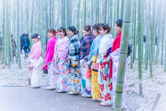 A group of women wearing colorful kimonos and shawls stand together in a bamboo forest. The kimonos feature vibrant patterns like flowers and stripes, and the scene is set on a path surrounded by tall bamboo stalks.