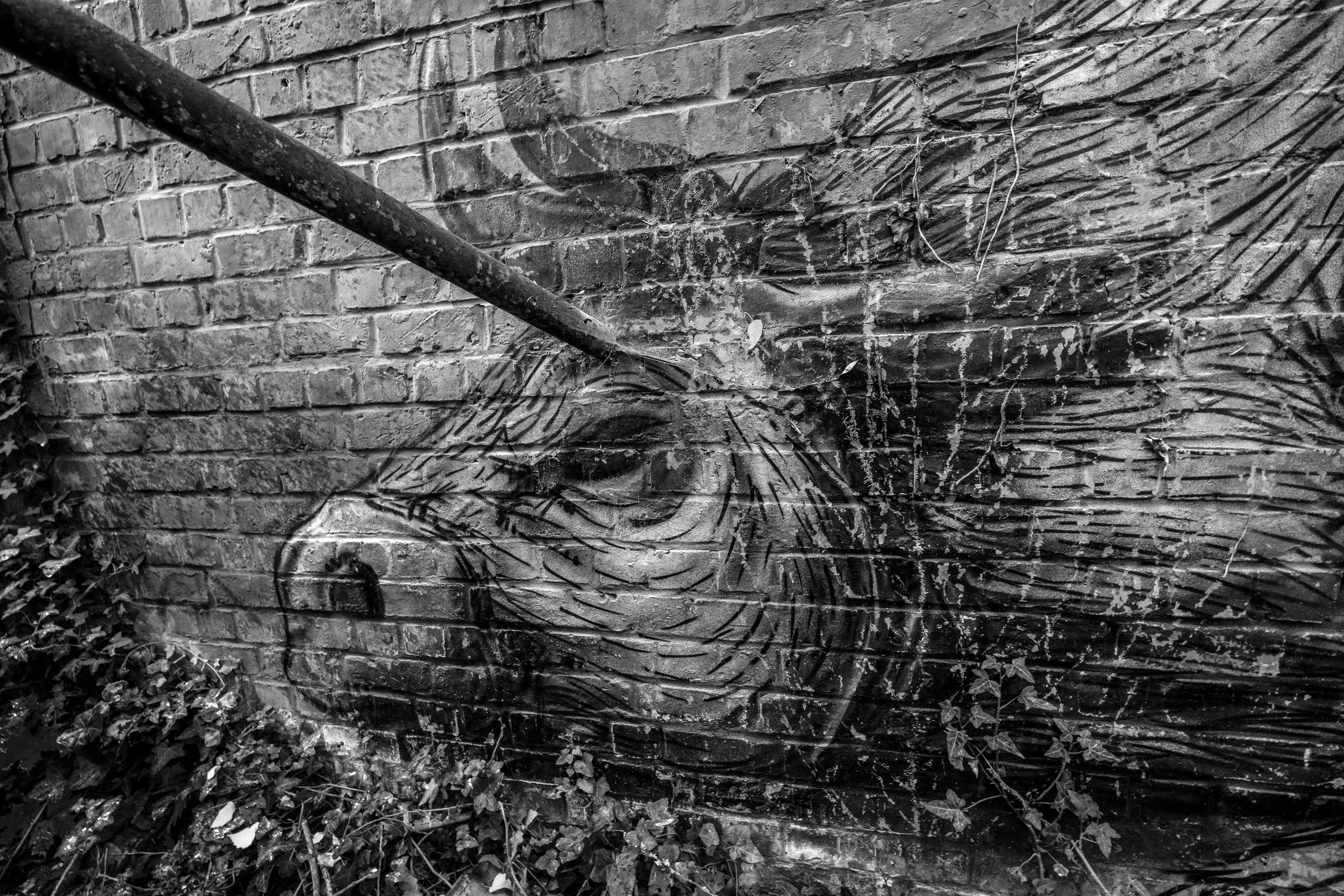 Tagg 4 best free tagg, urbex, graffiti and tag photos on Unsplash