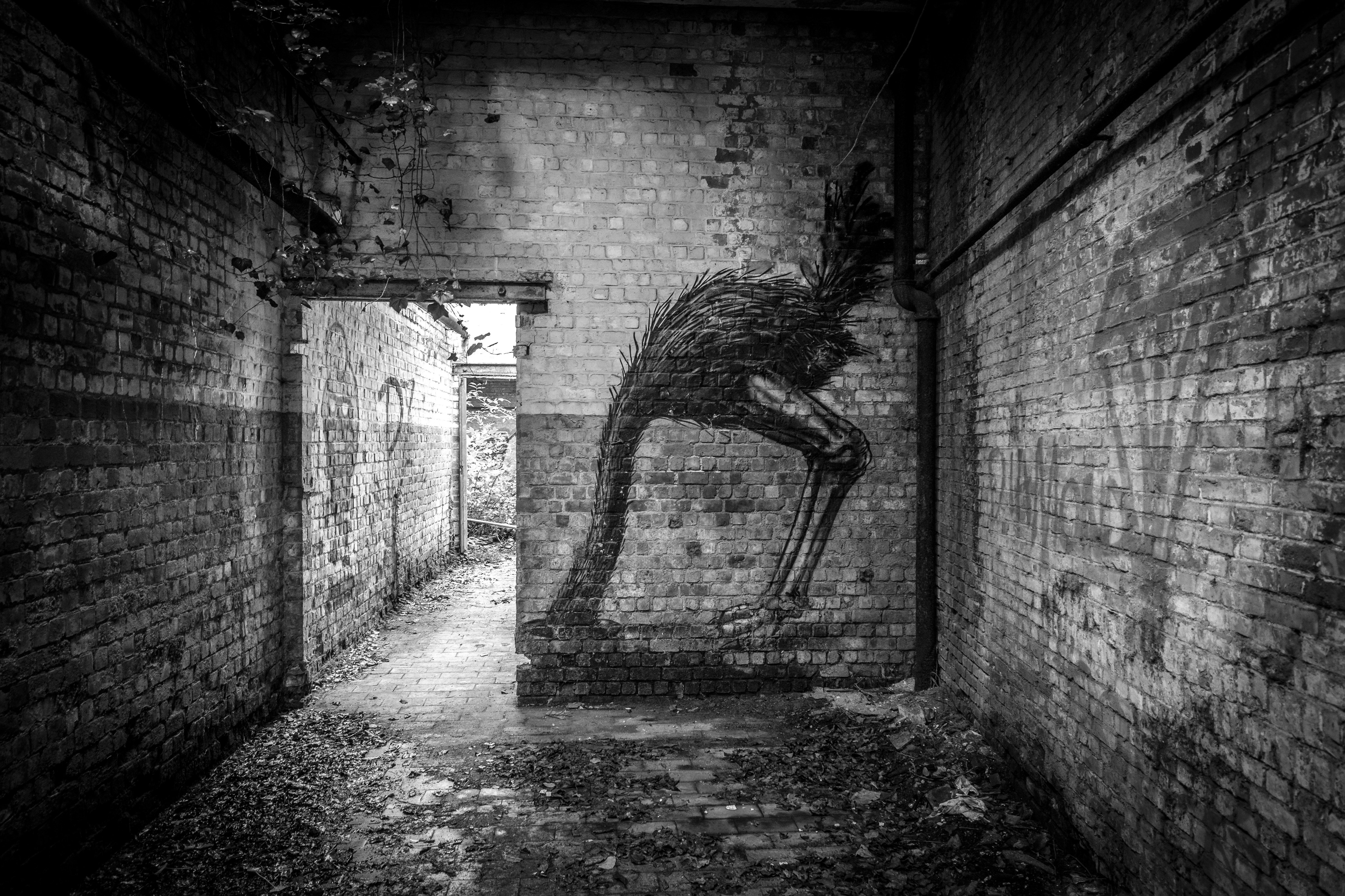 Tagg 4 best free tagg, urbex, graffiti and tag photos on Unsplash