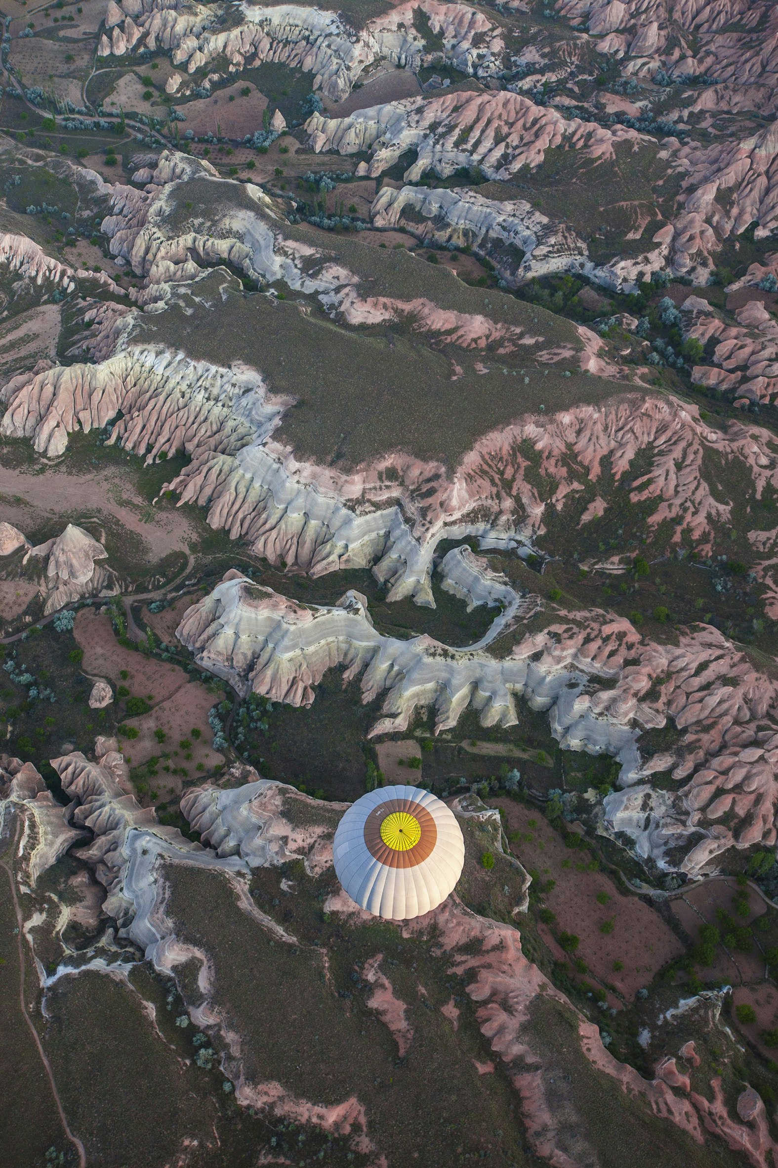 Canon EOS 5D + Canon EF 16-35mm F2.8L II USM sample photo. White air balloon photography