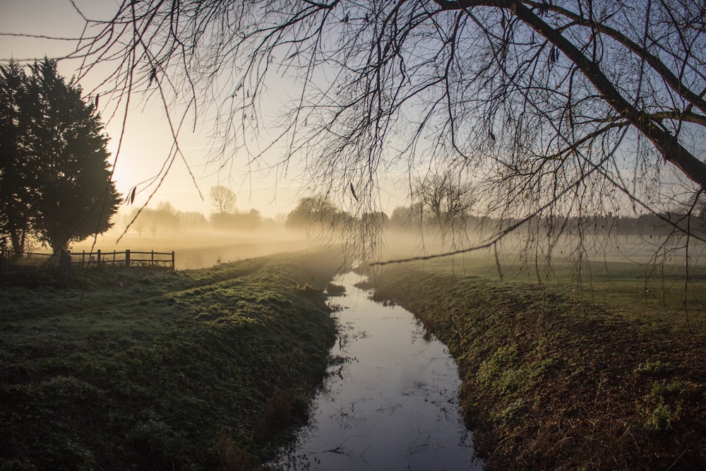 river between of green grass field at daytime