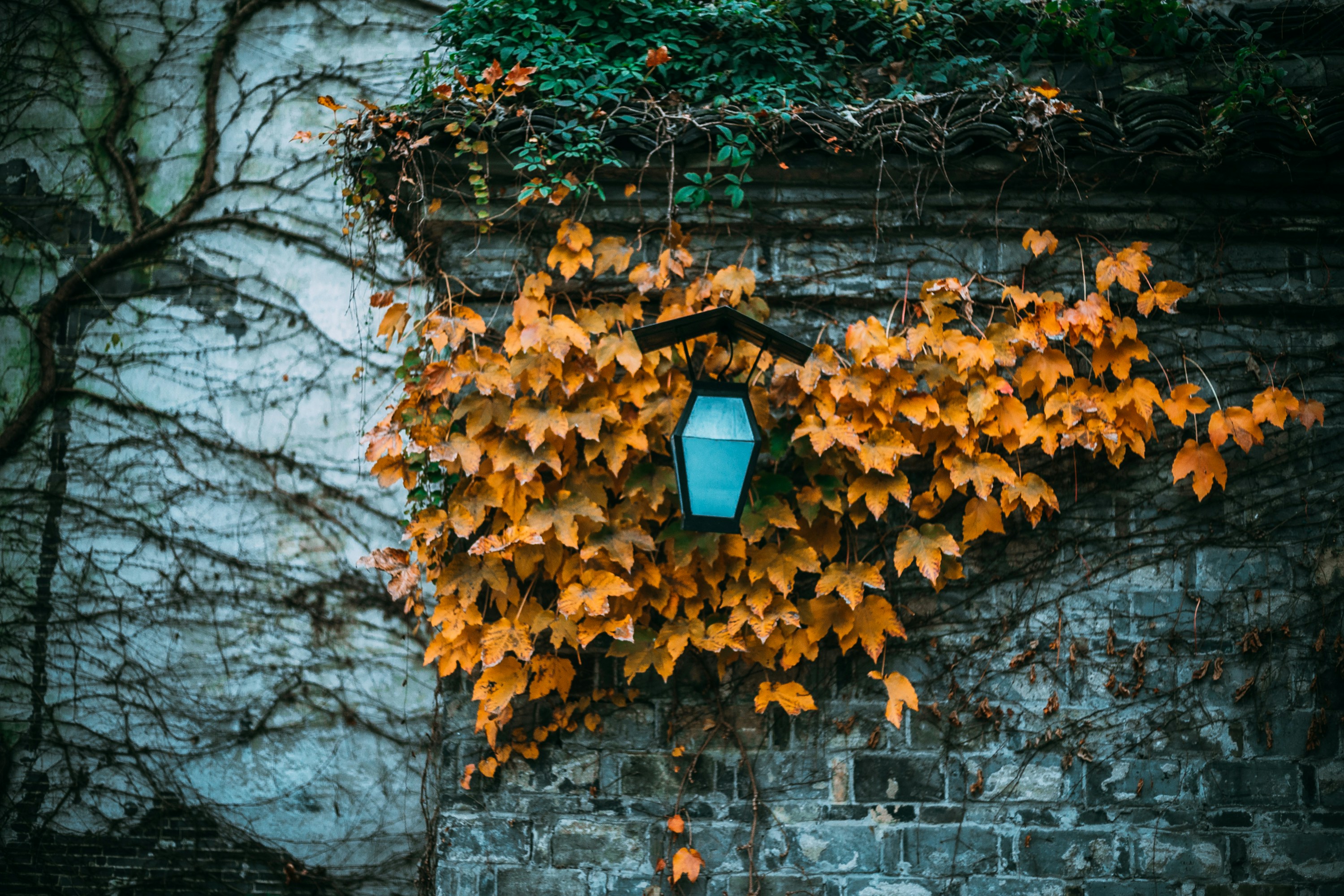 Fixing NgModule.imports exception in NgModule class on Angular 9