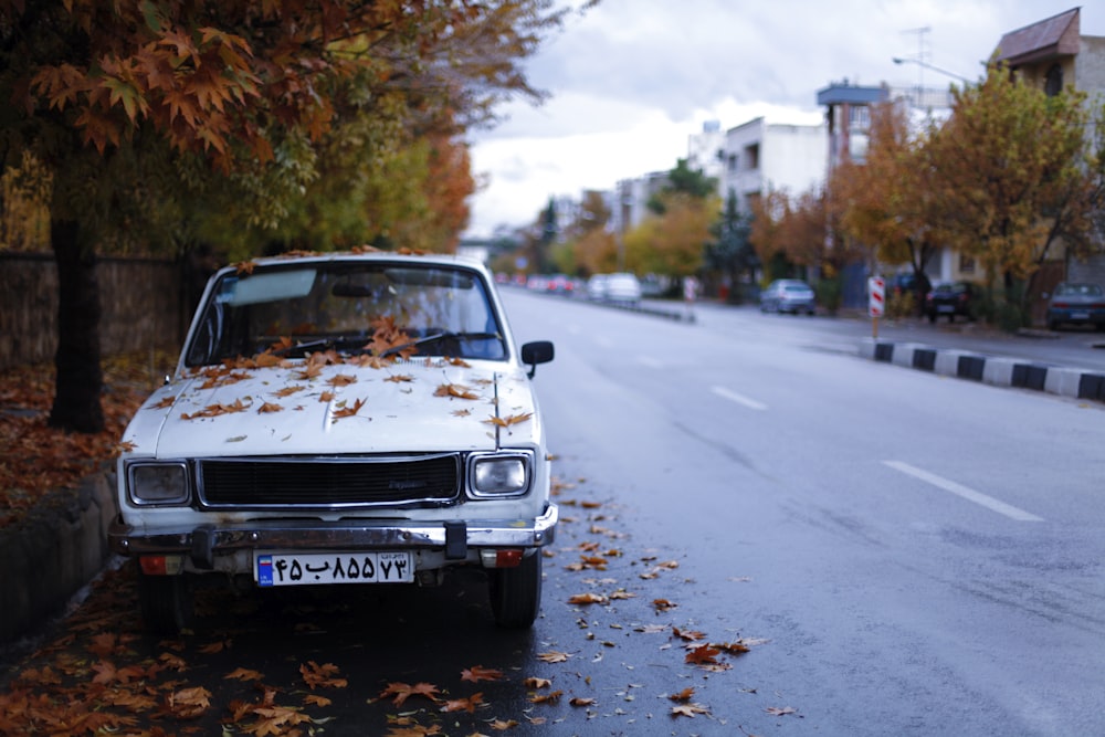 dried leaves on top of white car beside concrete pathway