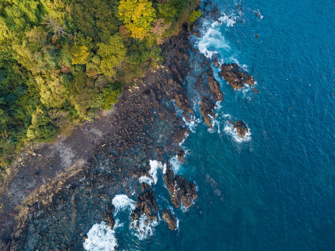 photo of Manazuru Cliff near Izu Peninsula