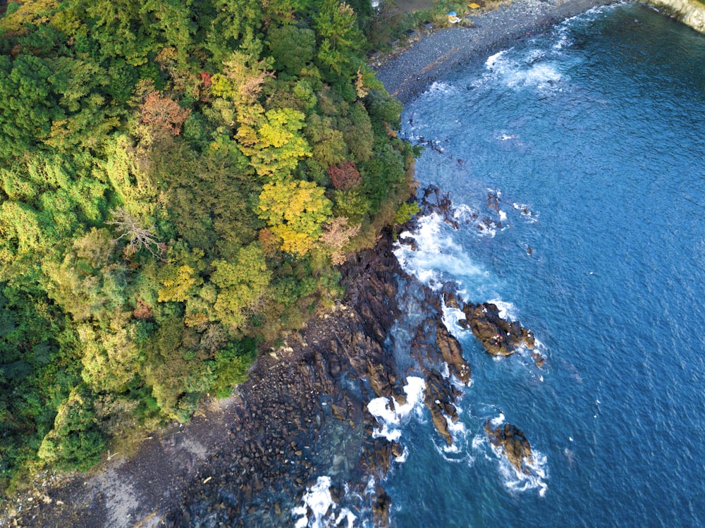 aerial photography of island