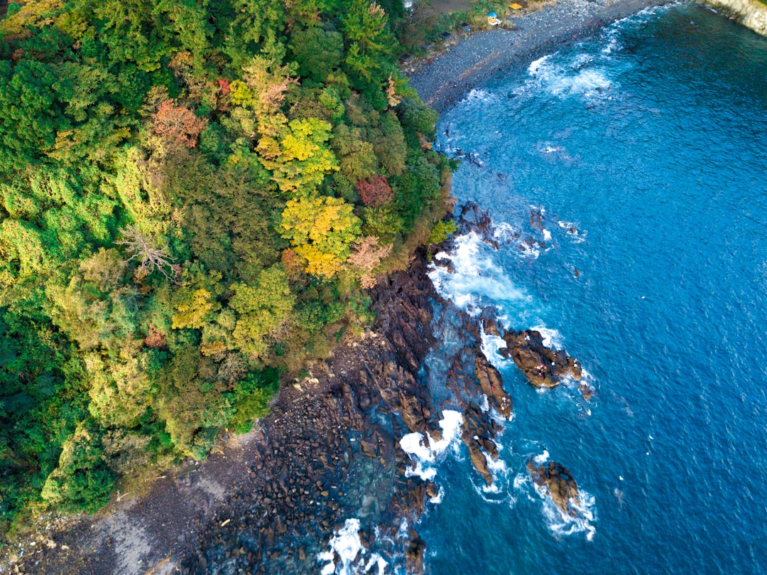 photo of Manazuru Nature reserve near Hakone Shrine