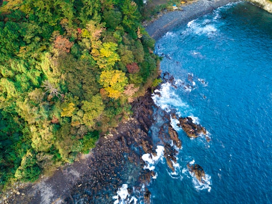 aerial photography of island in Manazuru Japan