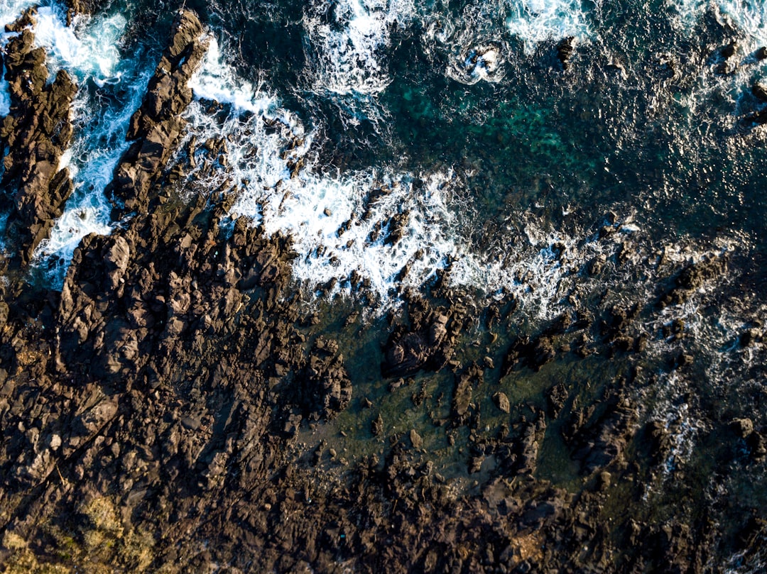 bird's eye view photo of ocean