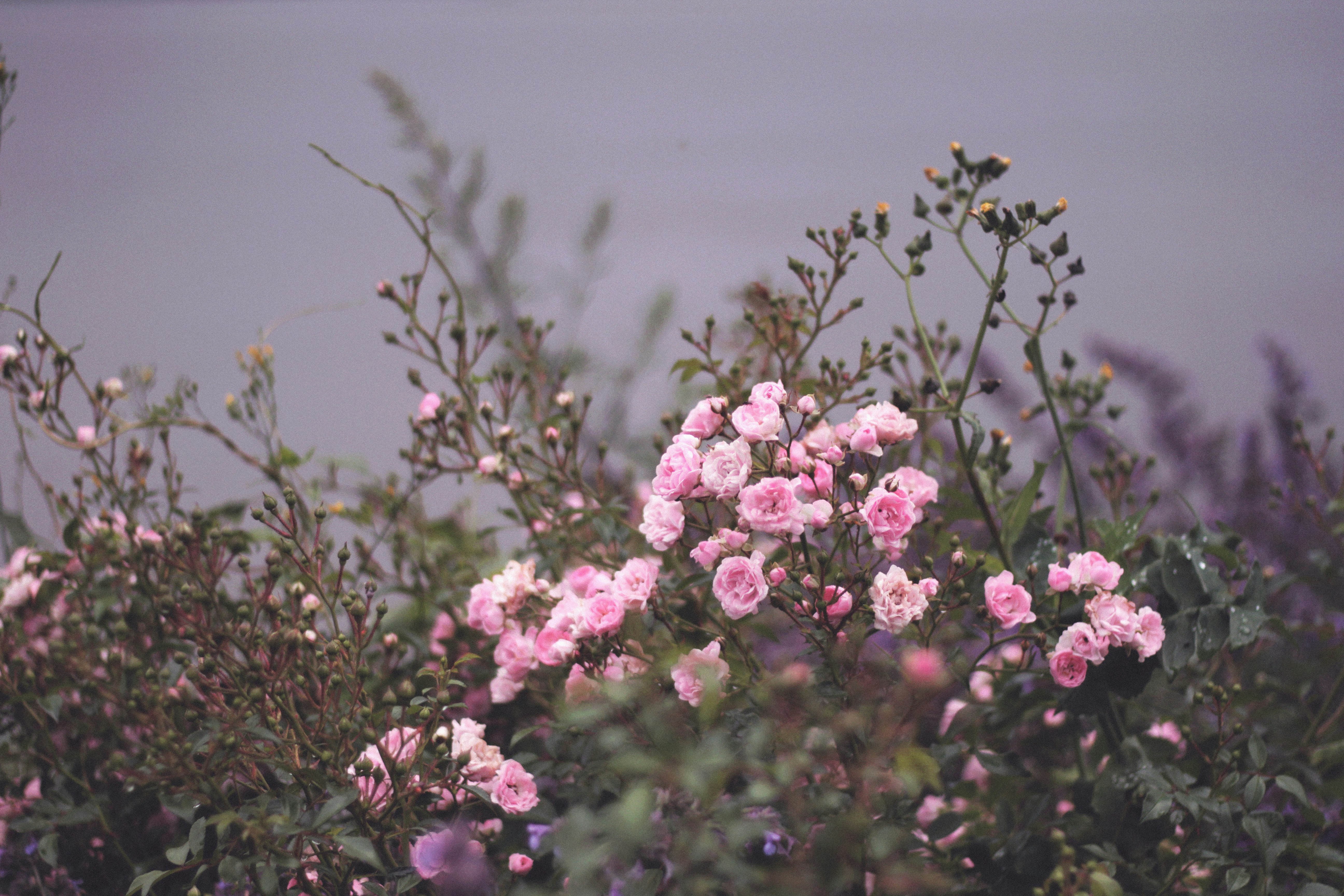 Photo by artyourself