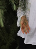 Hands gently holding a pine branch in a serene forest setting.