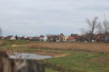 A rural village landscape with several houses in the distance, surrounded by bare trees and a cloudy sky. In the foreground, there are grassy fields and a small body of water bordered by tall, dry reeds. The houses are a mix of colors, including white, yellow, and red, with varying roof styles.