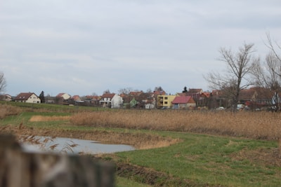 A rural village landscape with several houses in the distance, surrounded by bare trees and a cloudy sky. In the foreground, there are grassy fields and a small body of water bordered by tall, dry reeds. The houses are a mix of colors, including white, yellow, and red, with varying roof styles.