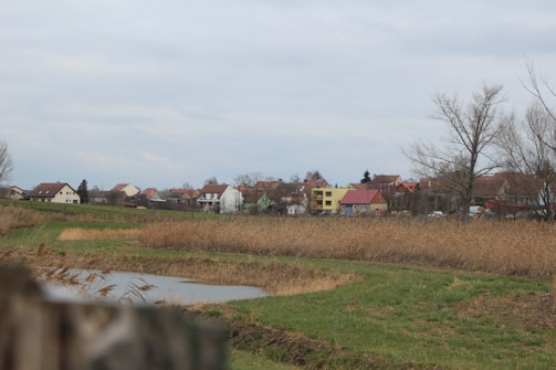 A rural village landscape with several houses in the distance, surrounded by bare trees and a cloudy sky. In the foreground, there are grassy fields and a small body of water bordered by tall, dry reeds. The houses are a mix of colors, including white, yellow, and red, with varying roof styles.