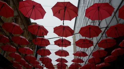 A canopy of red umbrellas is suspended in the air, attached to wires, creating an artistic installation between two buildings. The overcast sky adds contrast to the vivid umbrella colors, contributing to the overall dramatic visual effect.
