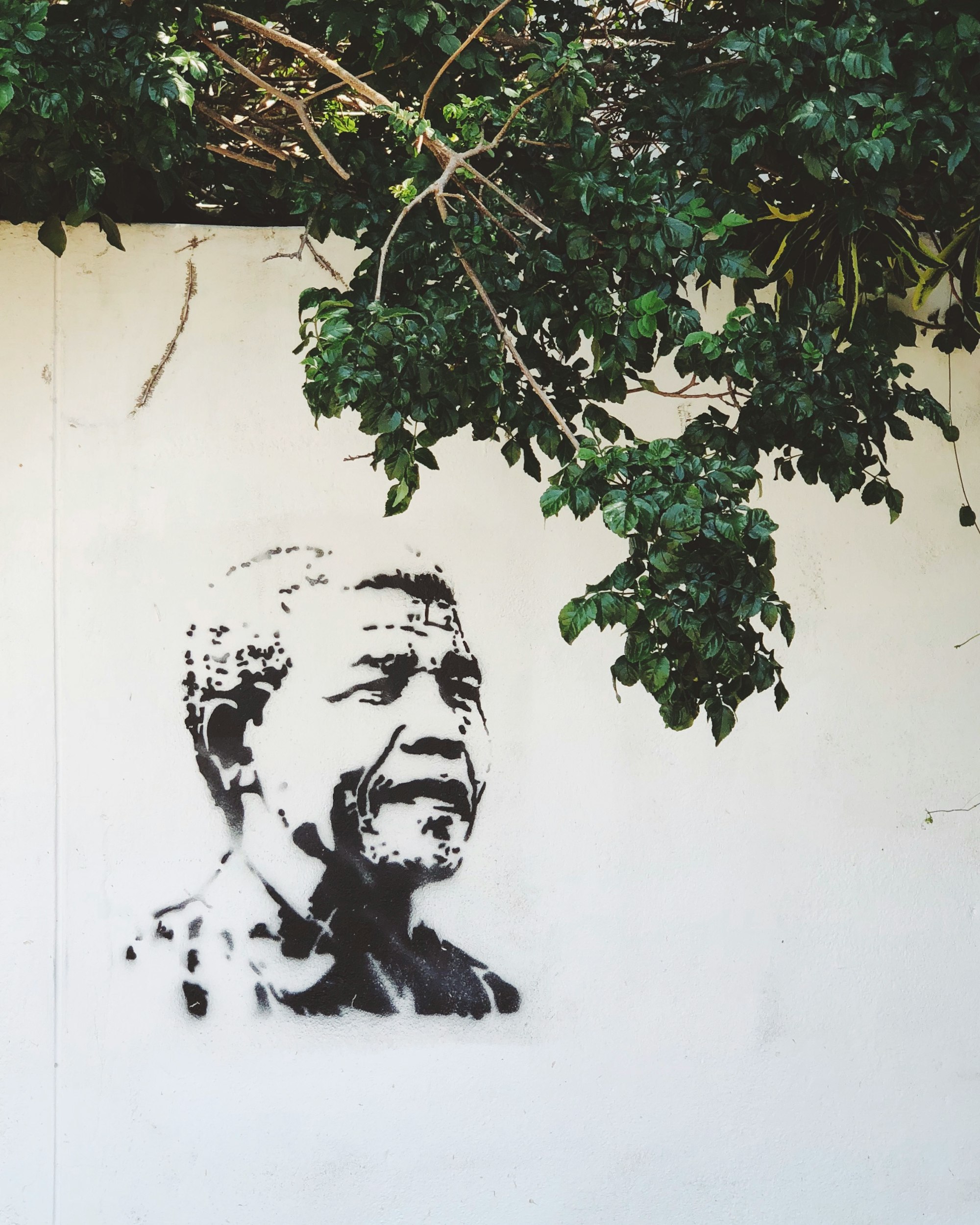 FREE MANDELA and other cardboard signs