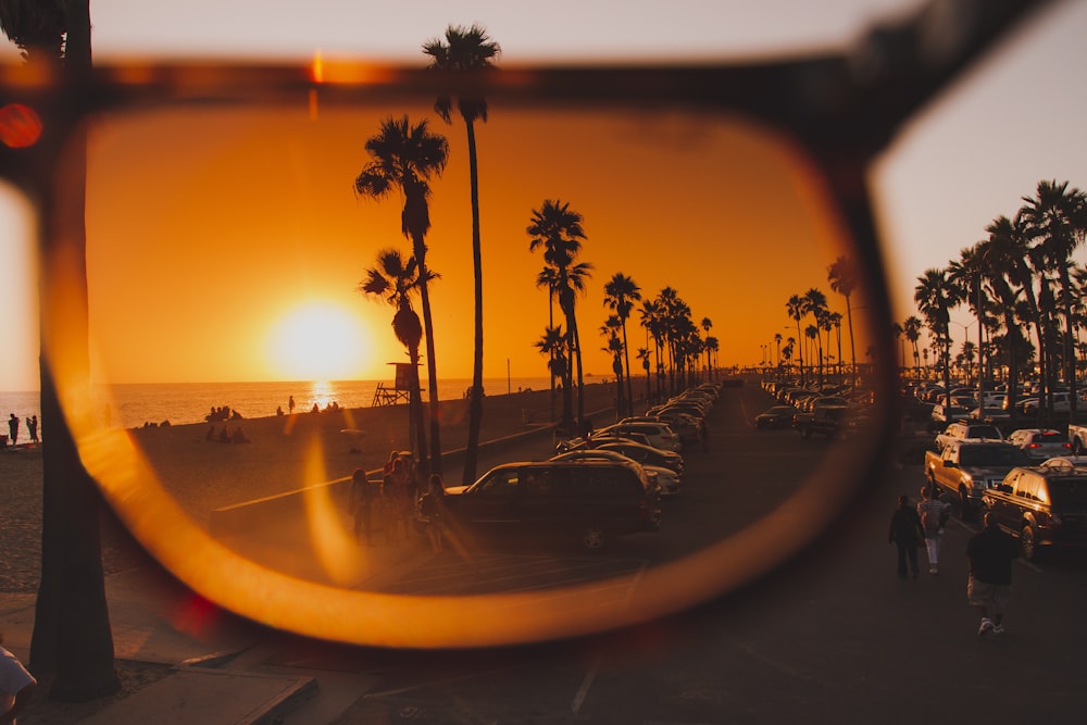 trees and sun photo on brown sunglasses