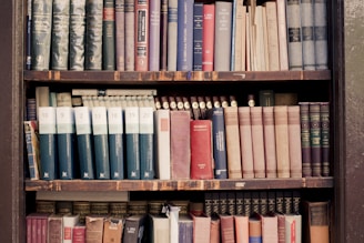 brown wooden shelf filled with books