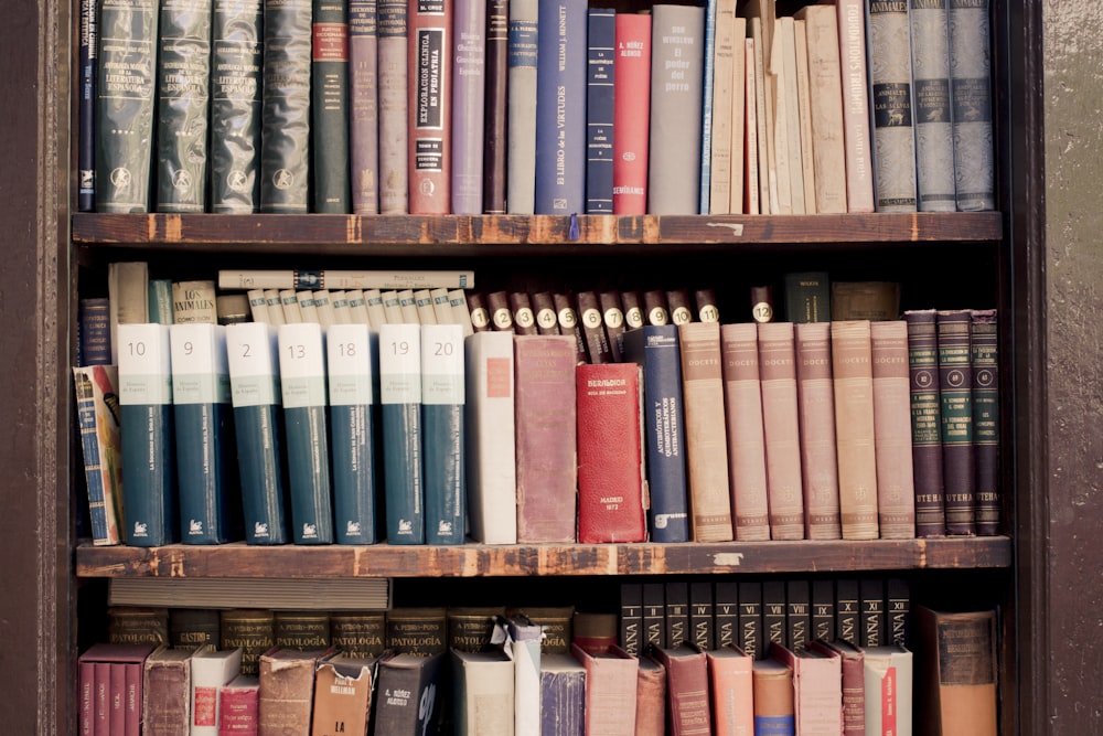 brown wooden shelf filled with books