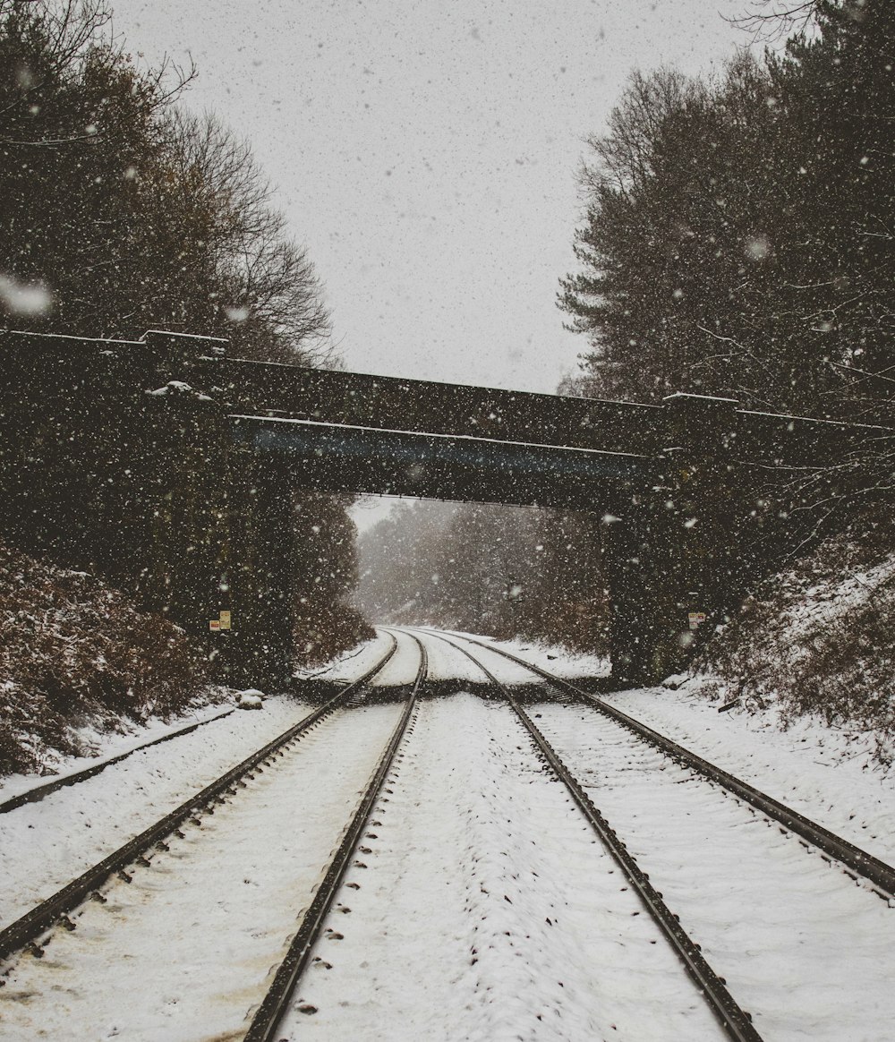 train railway covered with snow