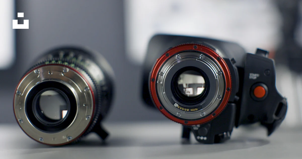 Shallow focus photography of black DSLR camera with lens photo – Free ...