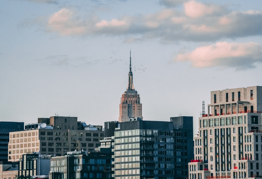 photography of high-rise buildings