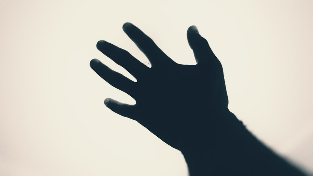 silhouette de la main humaine gauche pendant la journée