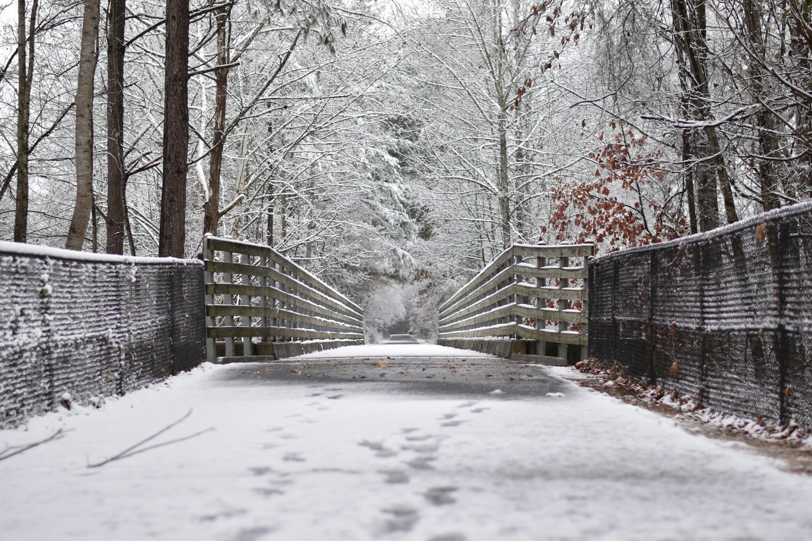 Nikon D5600 + Nikon AF-S Nikkor 50mm F1.8G sample photo. Snow covered bridge in photography