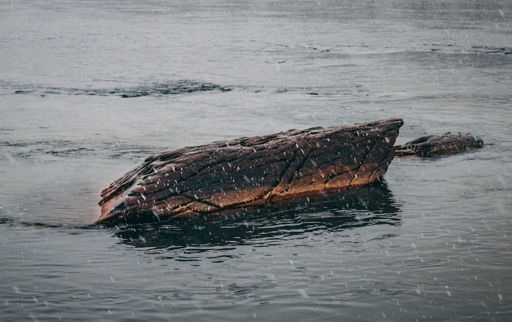 brown wood log drifting in the middle of water