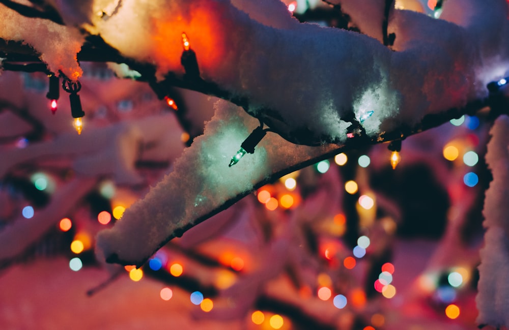 Stringa di luci di colori assortiti intorno all'albero di Natale bianco