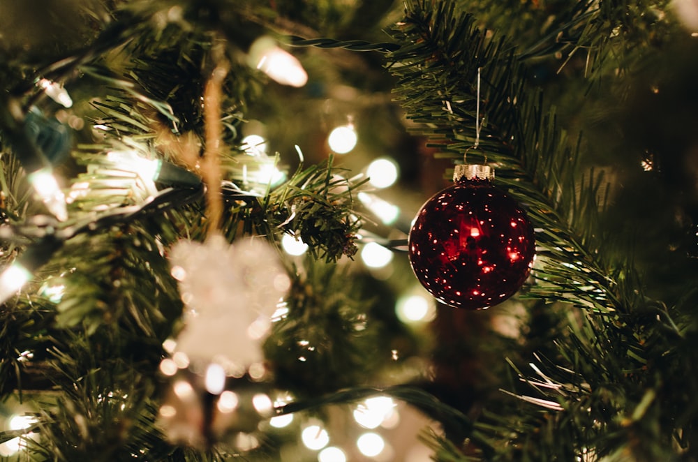 Adorno rojo en árbol de Navidad verde
