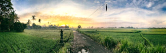A panoramic view of a biogas facility surrounded by lush greenery at sunrise.