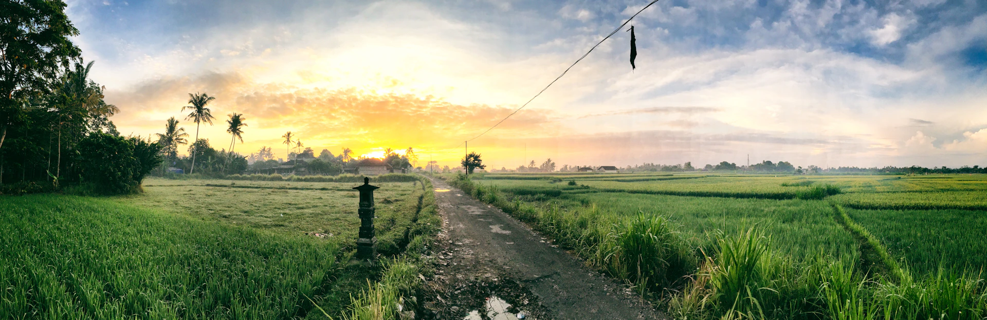 woman wearing yellow long-sleeved dress under white clouds and blue sky during daytime