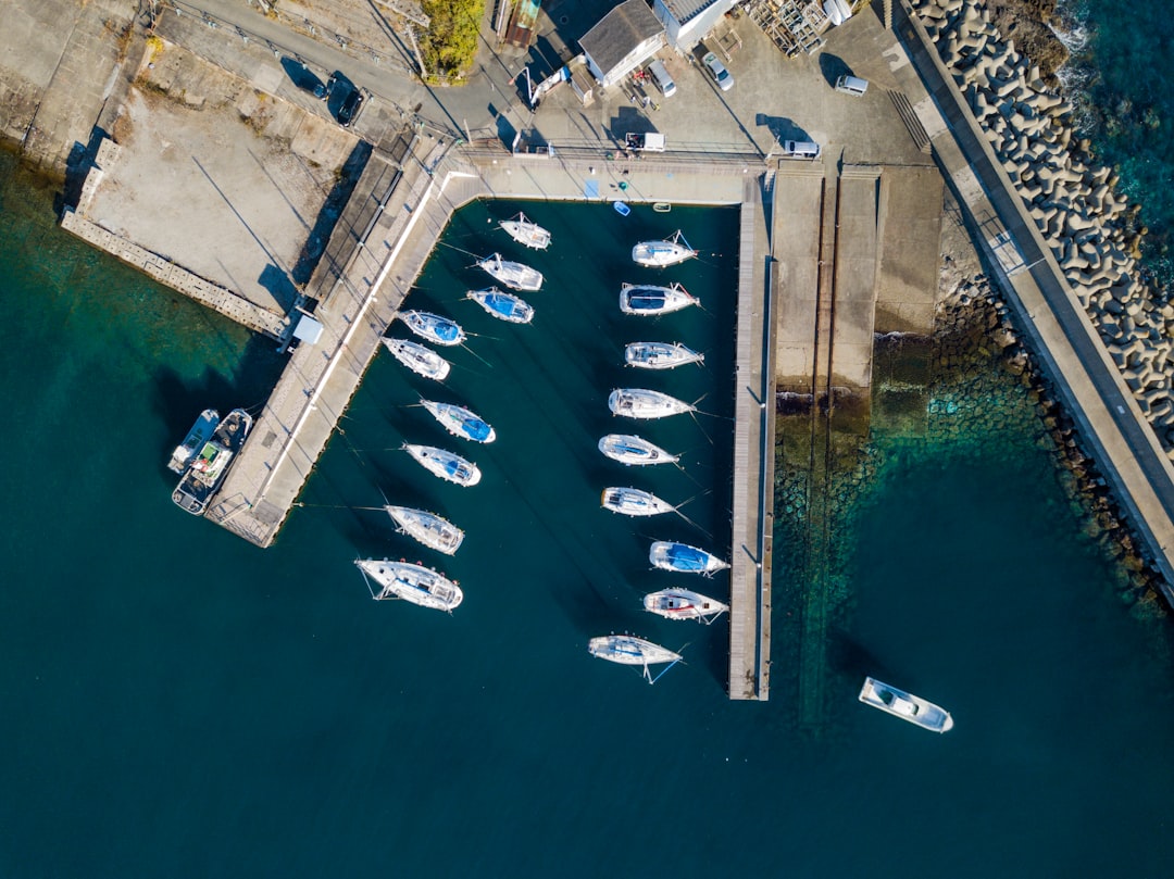 aerial view photography of boats