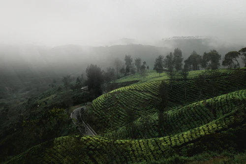 Horton Plains & World's End