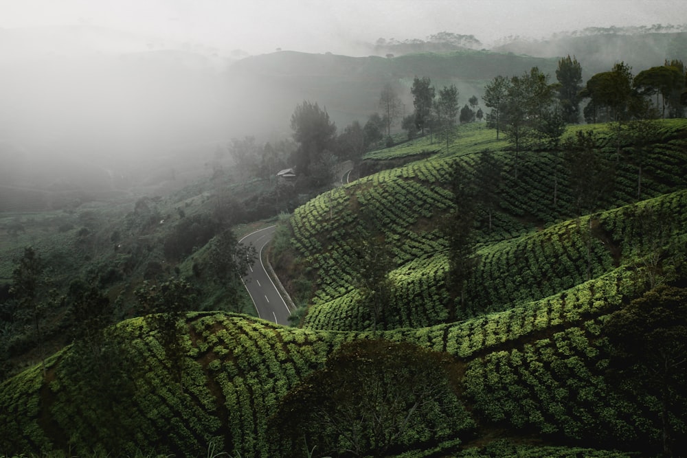 aerial view of foggy mountain