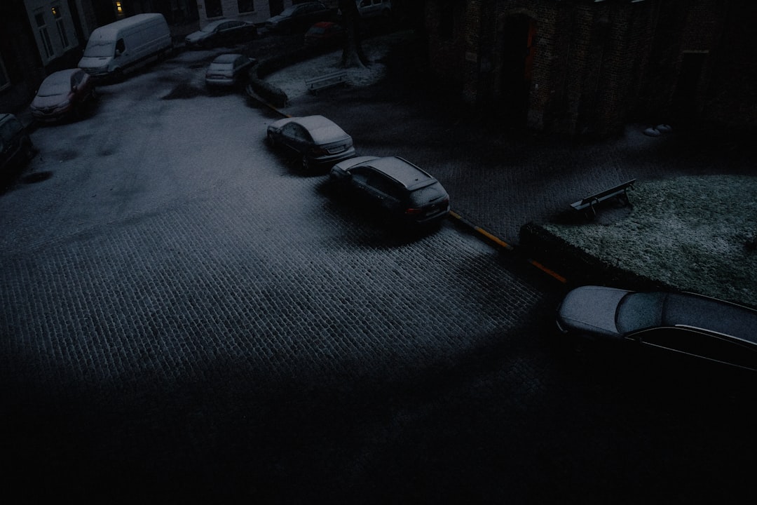 vehicles parked beside road covered with snow