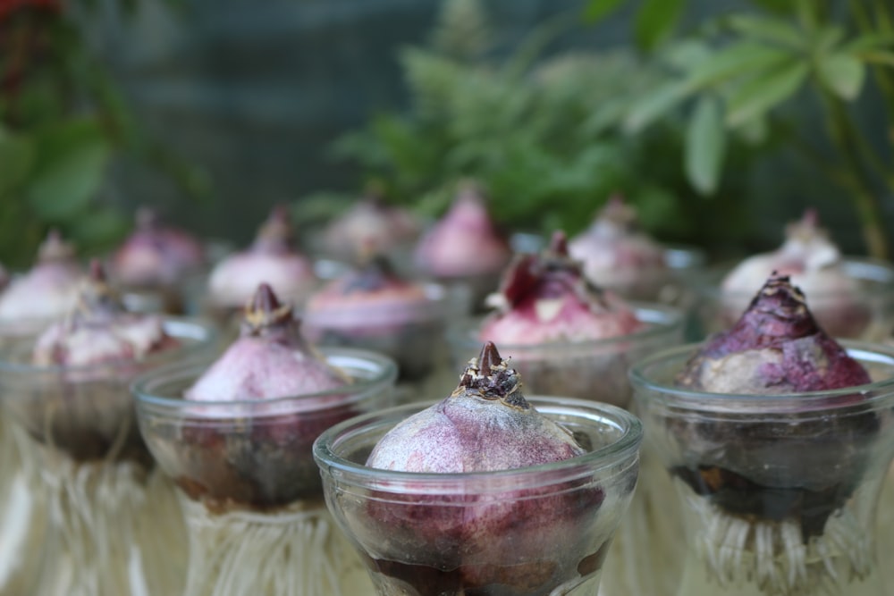 red onions on small clear glass bowls