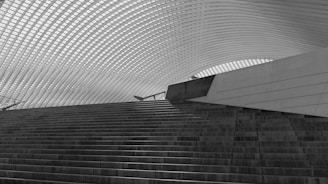 A sweeping architectural structure featuring arched ceilings composed of repetitive linear patterns. Wide stone steps lead upwards, creating a sense of depth. The structure is modern and sleek, with a strong emphasis on geometric design.