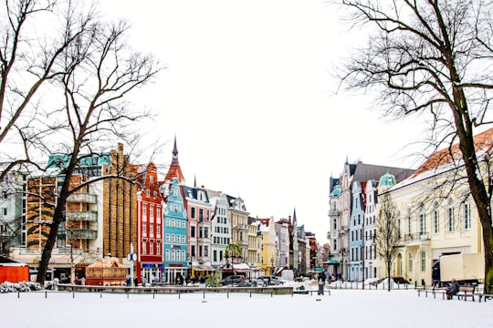 person sitting near tree in Rostock Germany